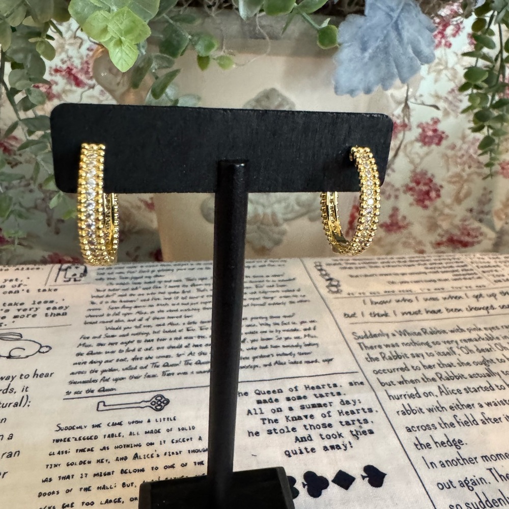 Stainless Steel Gold Crystal Hoop Earrings - Women Jewelry